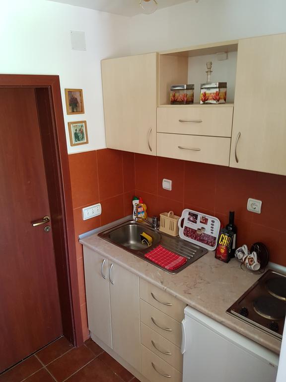 Apartment Matija Zlatibor Extérieur photo