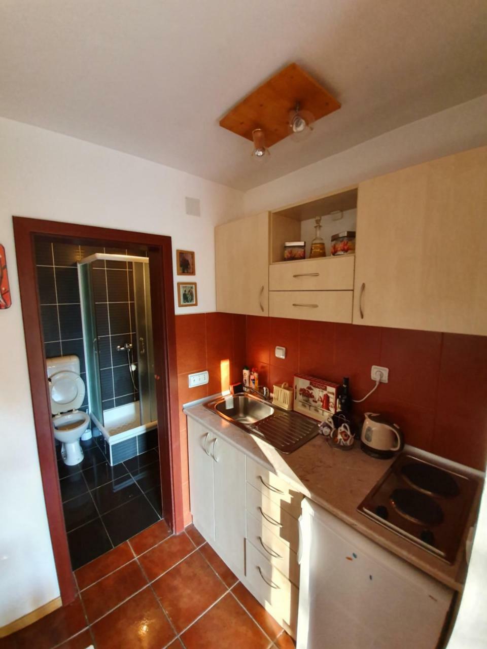 Apartment Matija Zlatibor Extérieur photo